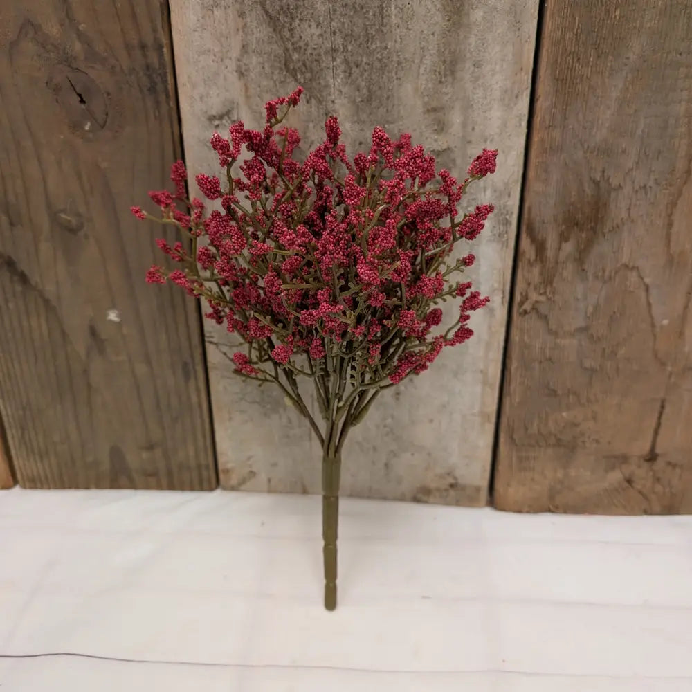 Red Astilbe Bush