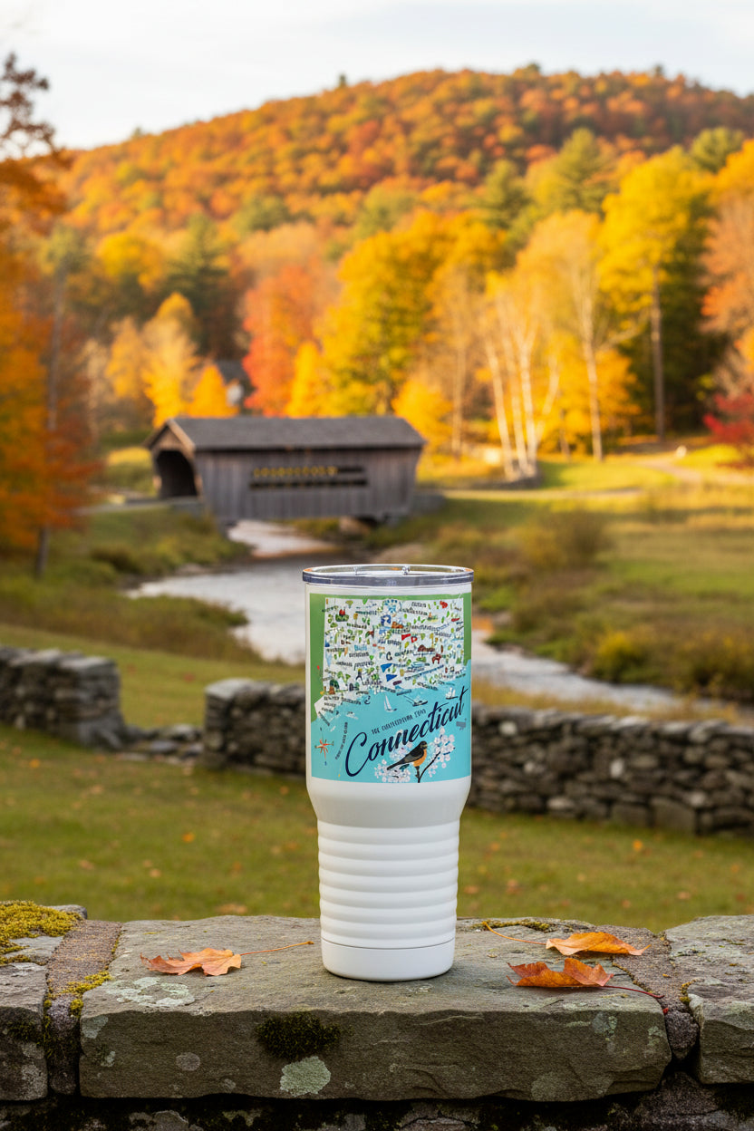 Connecticut 20-oz. Stainless Steel Tumbler