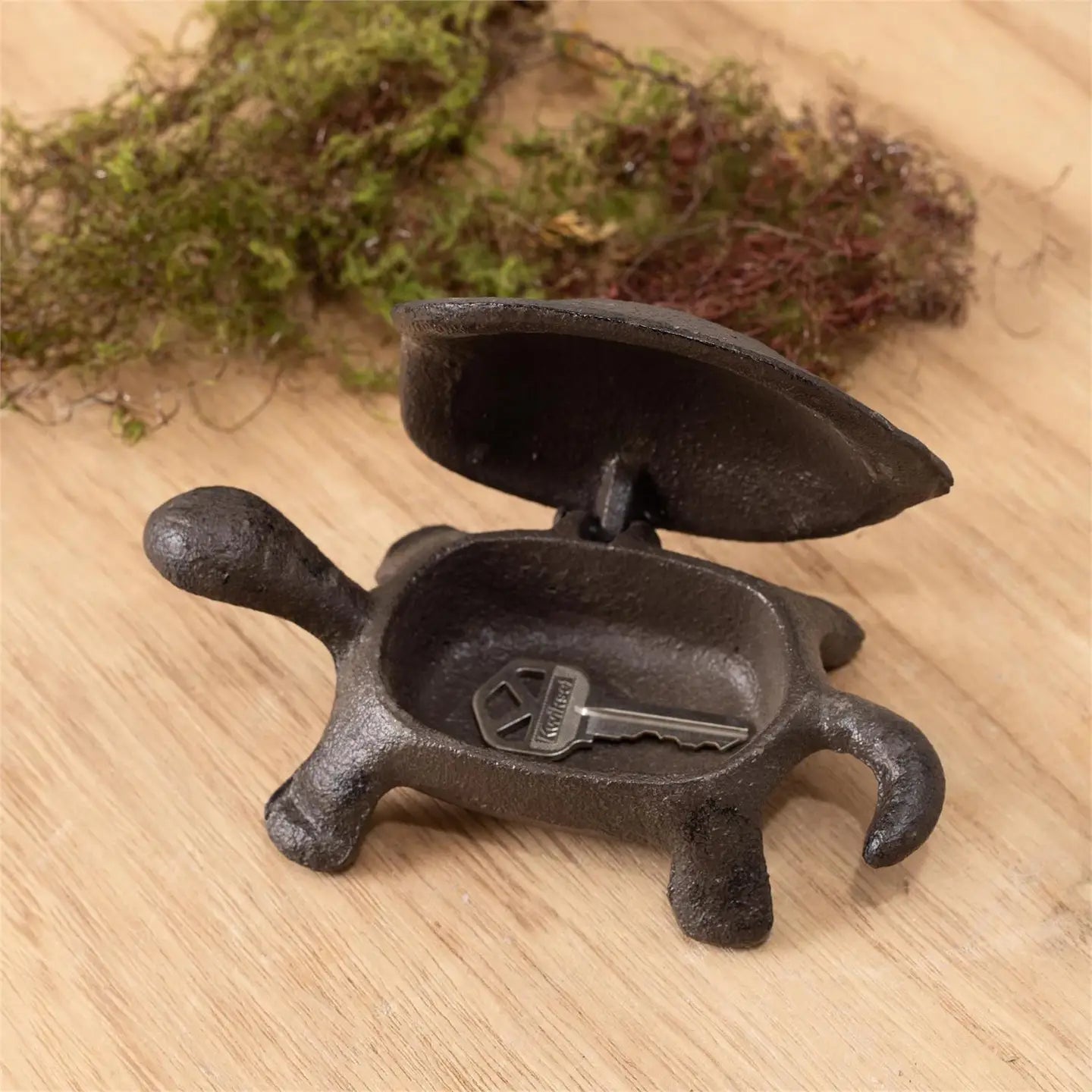 Turtle Key Hider