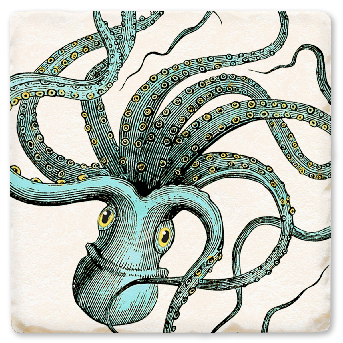 Octopus Coaster
