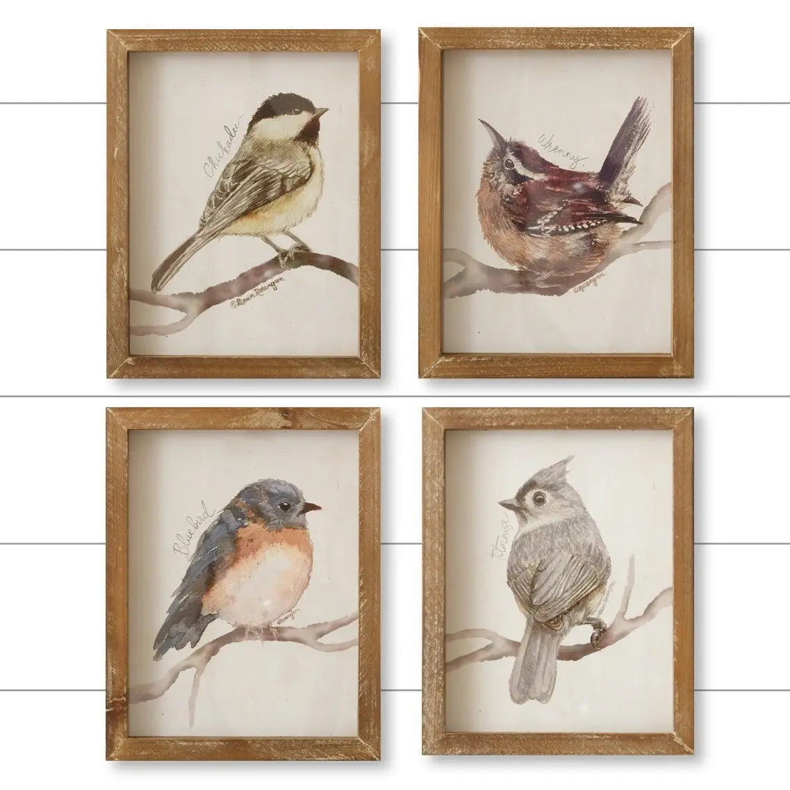 Framed Birds With Names