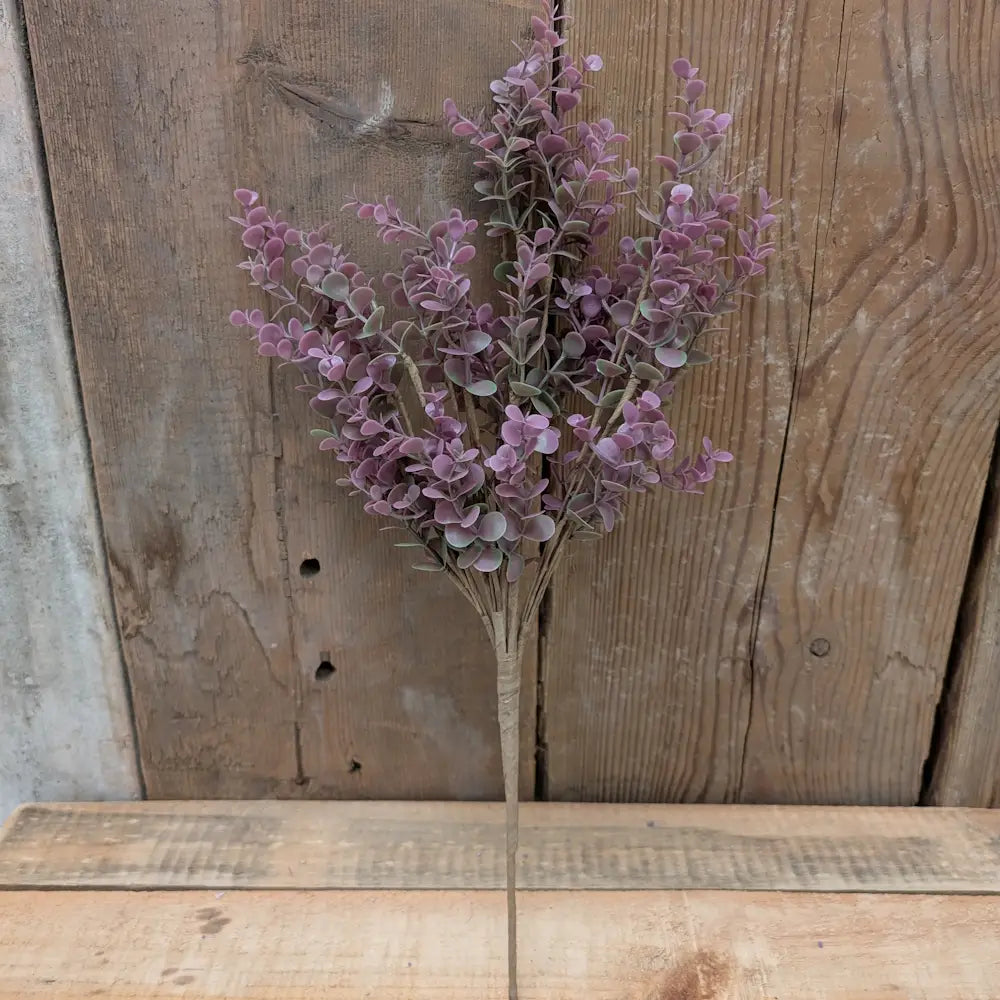 Purple Eucalyptus Picks - Large