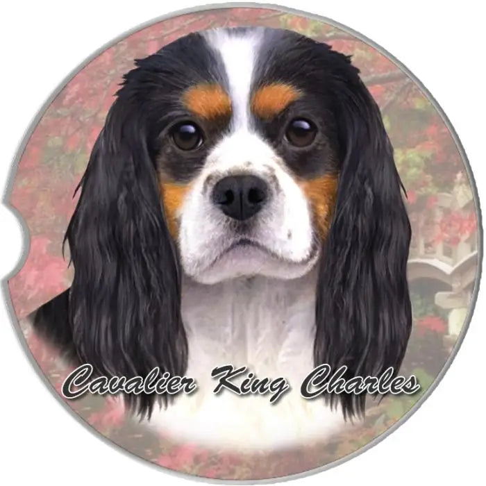 Cavalier Car Coaster