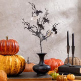 Bat & Ghost Stem