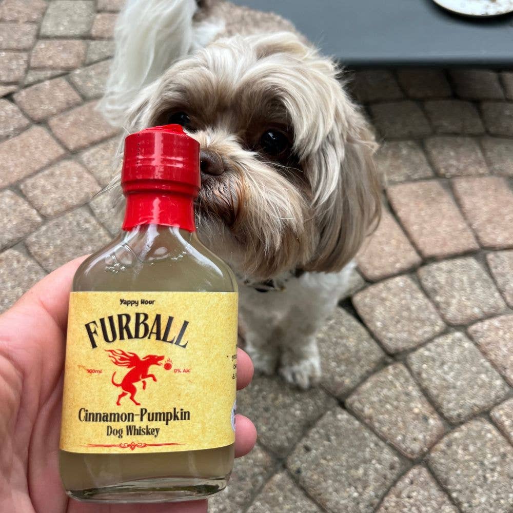 Furball - Dog Fireball