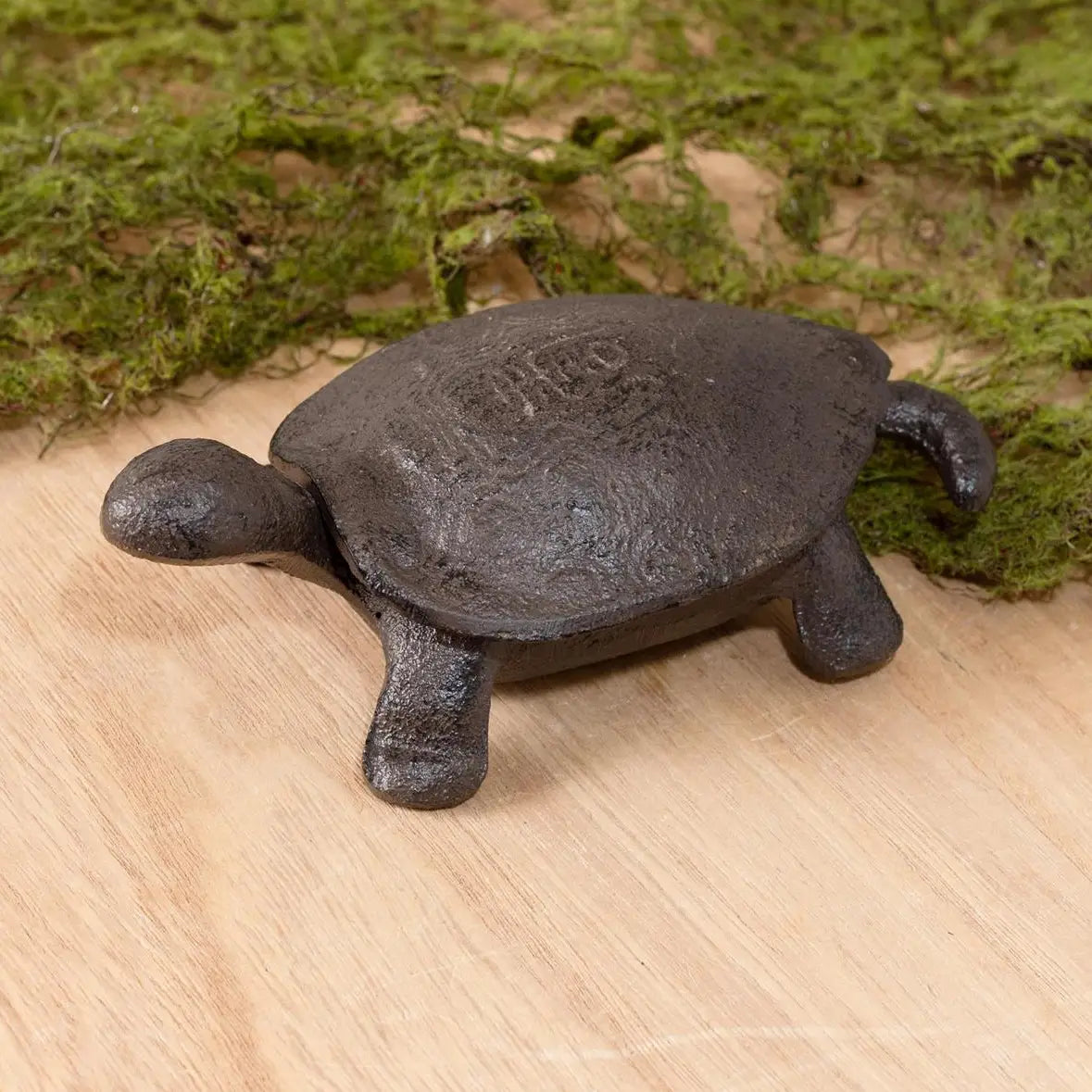Turtle Key Hider