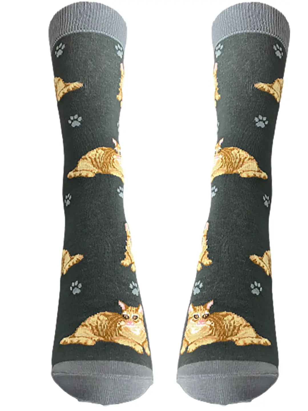 Orange Tabby Cat Socks