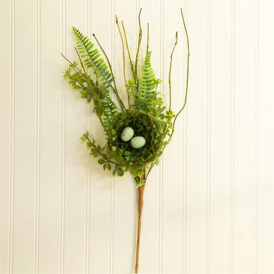 Ferns With Birds Nest