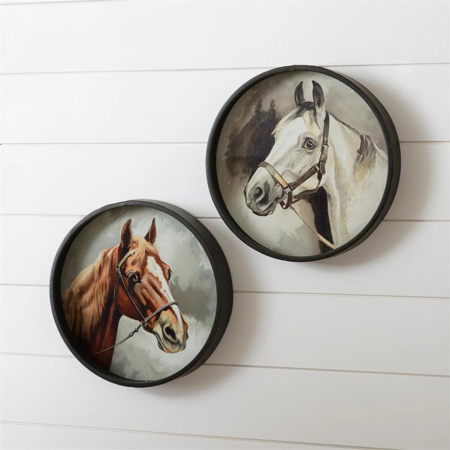 Framed prints – horse head