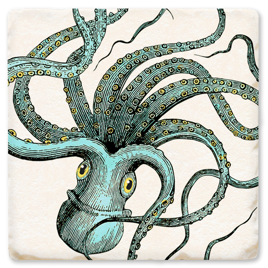 Octopus Coaster