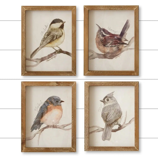 Framed Birds With Names