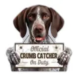 German Shorthaired Pointer Chip Clip