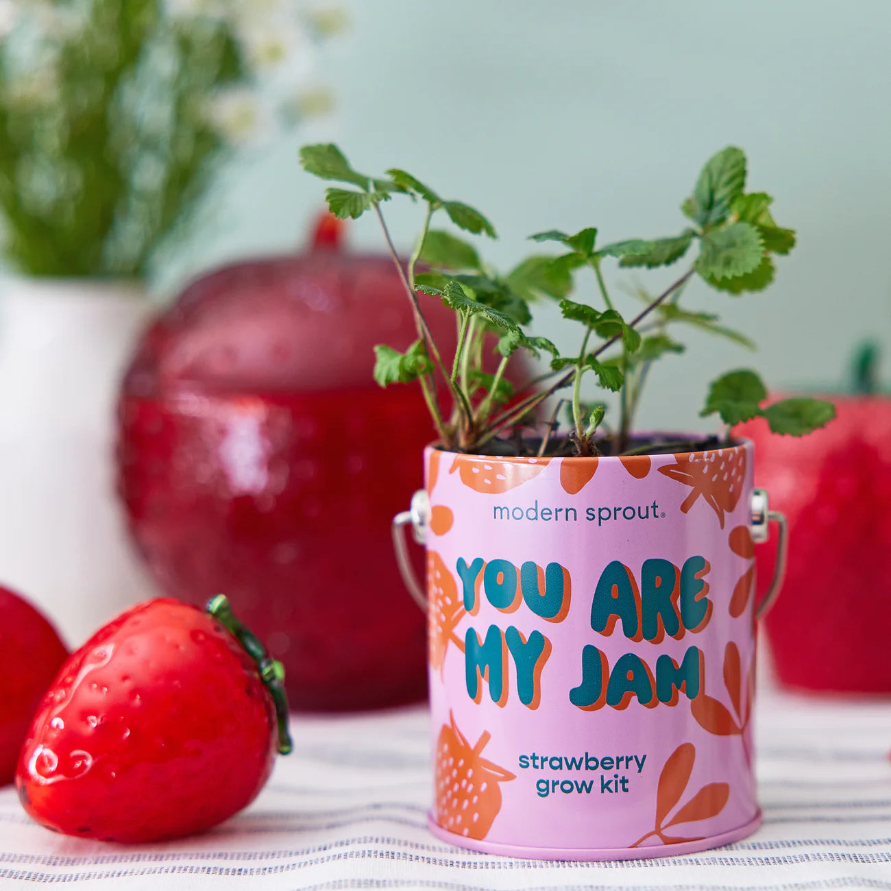Complimentary Color Grow Kit - Strawberry