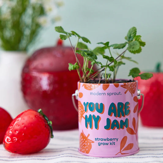 Complimentary Color Grow Kit - Strawberry