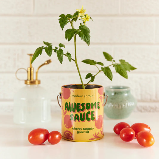 Complimentary Color Grow Kit - Cherry Tomato