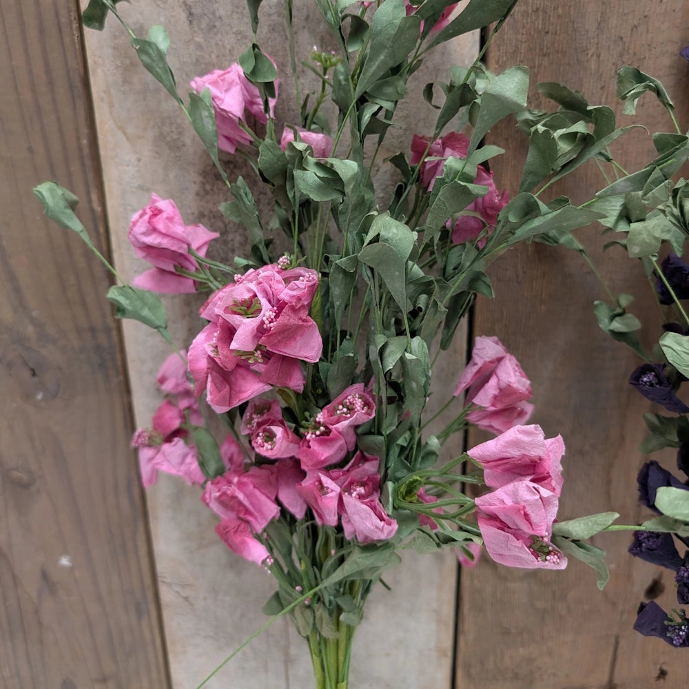 Wild Rush Bush - Pink