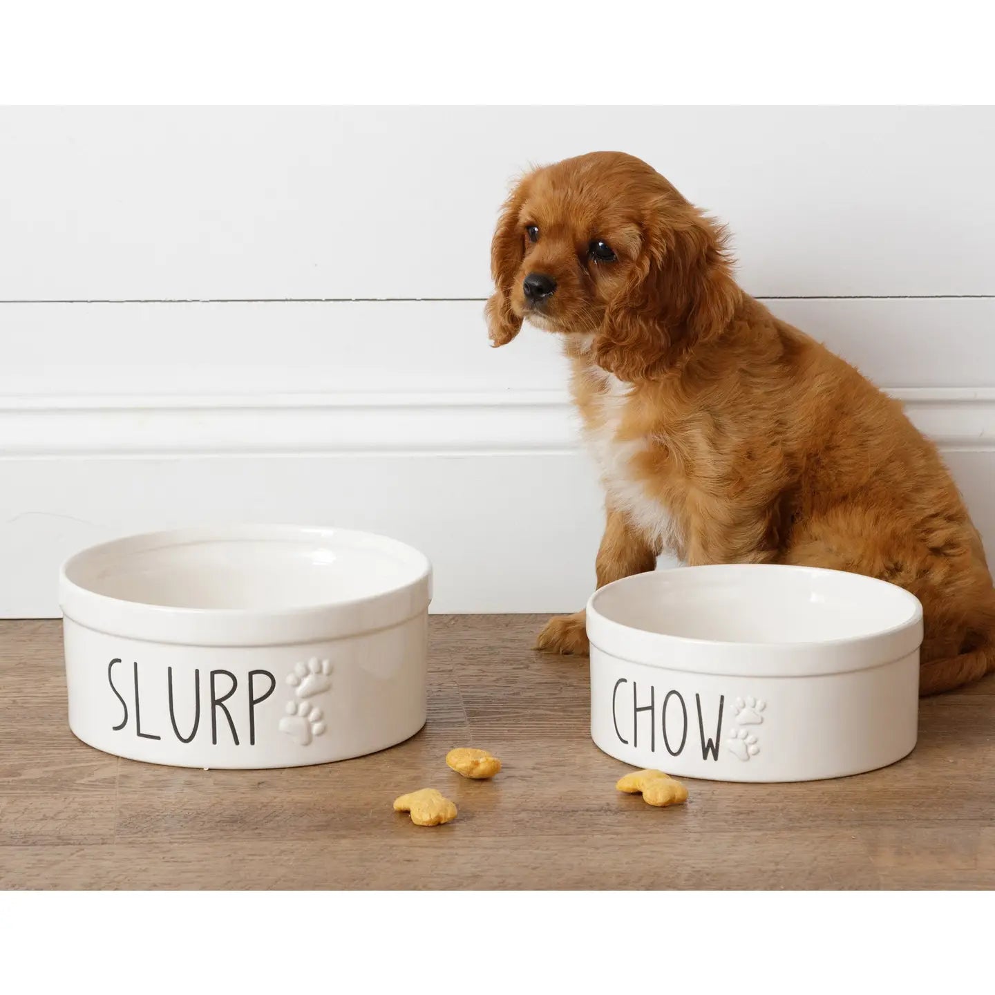 Ceramic Dog Bowls – Slurp & Chow (Set)