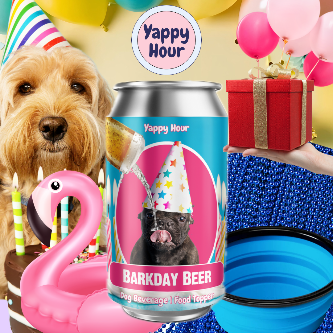 Barkday Beer | 18ct | Watermelon