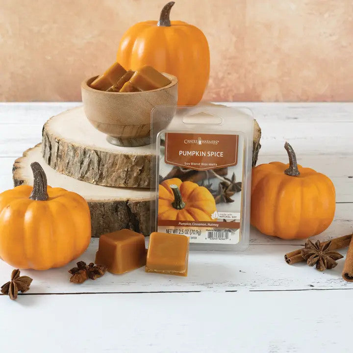 Pumpkin Spice Scented Wax Melts
