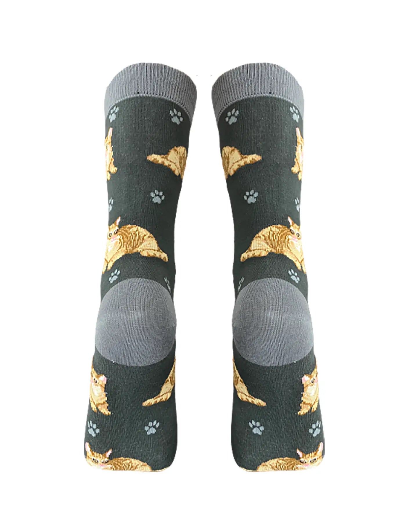 Orange Tabby Cat Socks