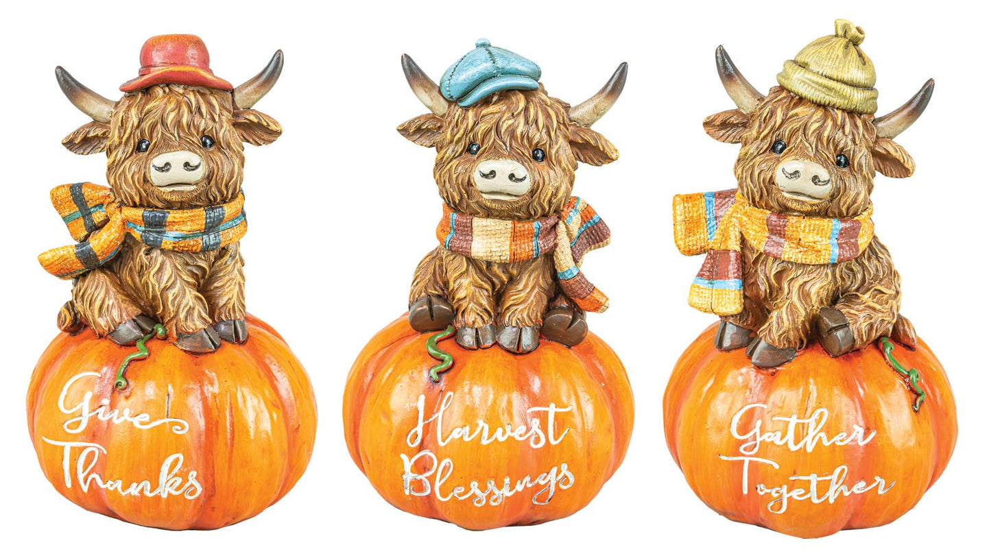Fall Scarf Highland Cow on Pumpkin - 3 Assorted
