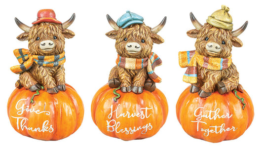 Fall Scarf Highland Cow on Pumpkin - 3 Assorted