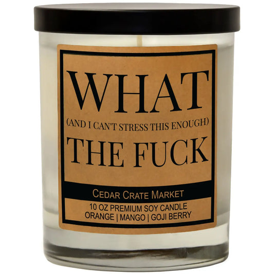 What (And I Can’t Stress This Enough) The Fuck - Candle