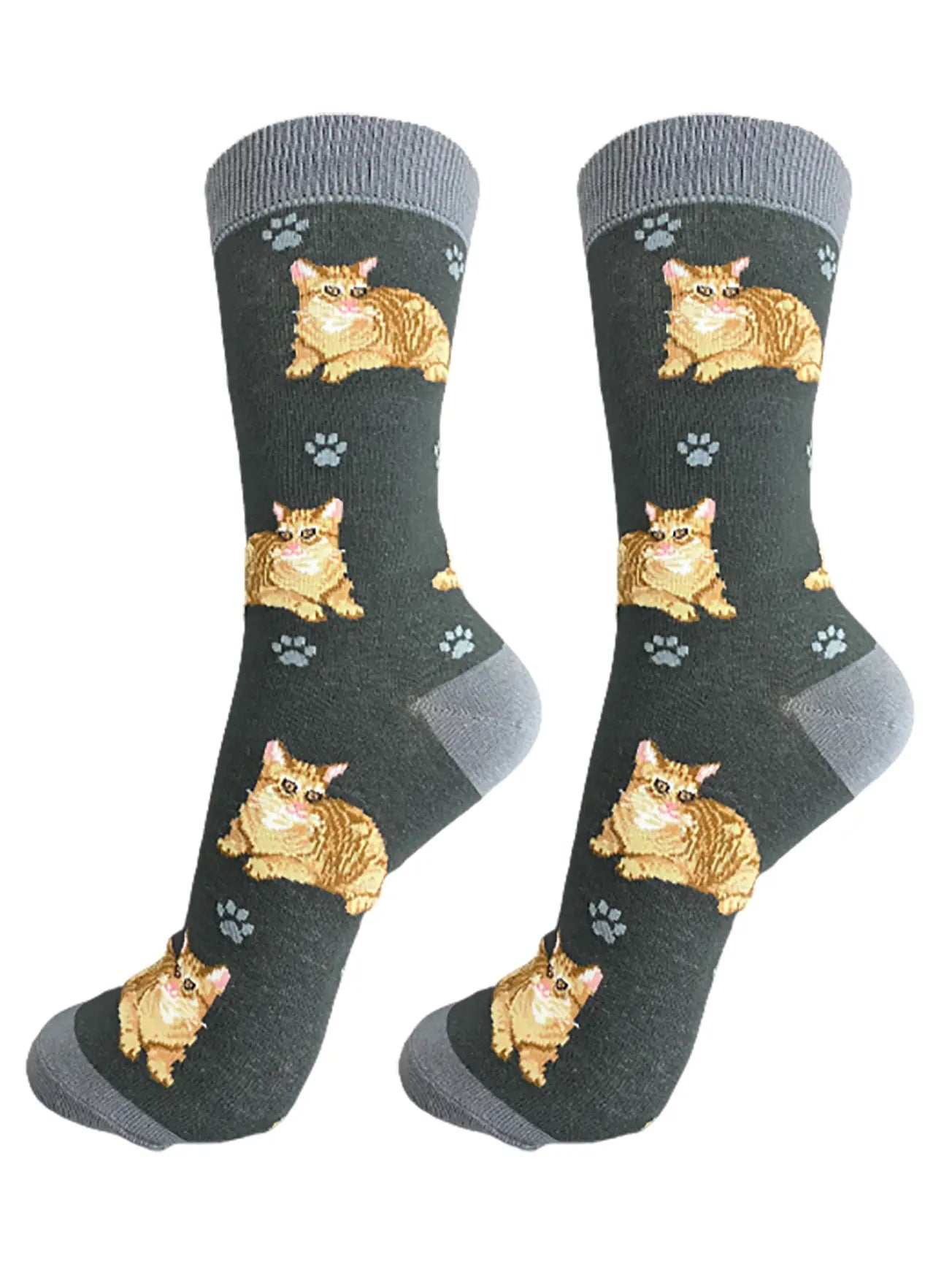 Orange Tabby Cat Socks