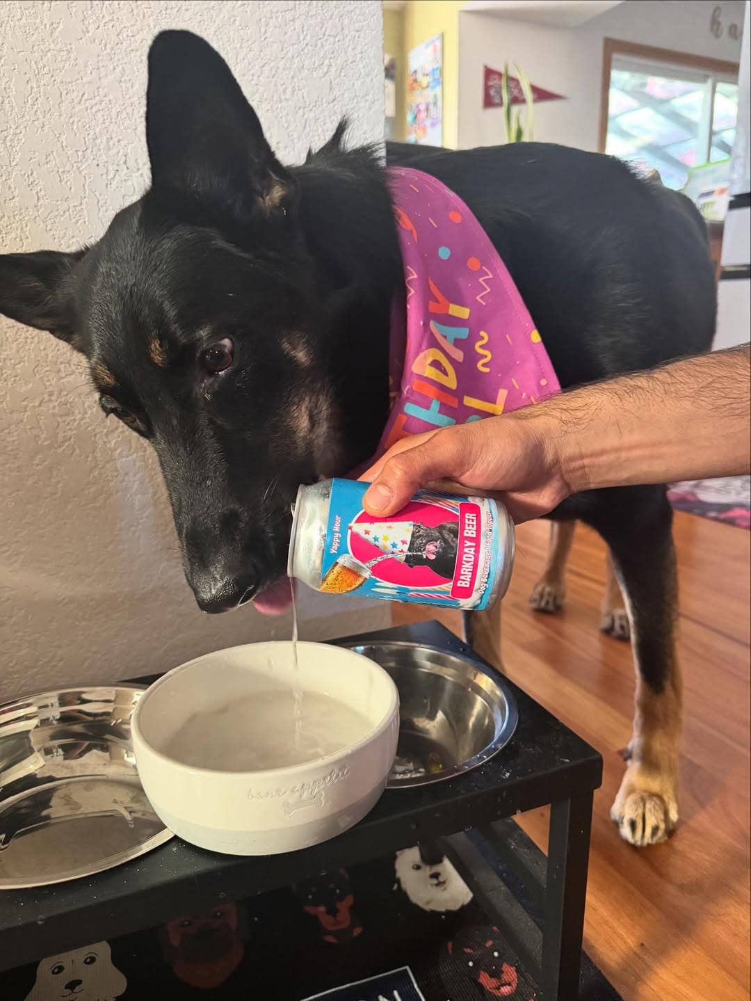 Barkday Beer | 18ct | Watermelon