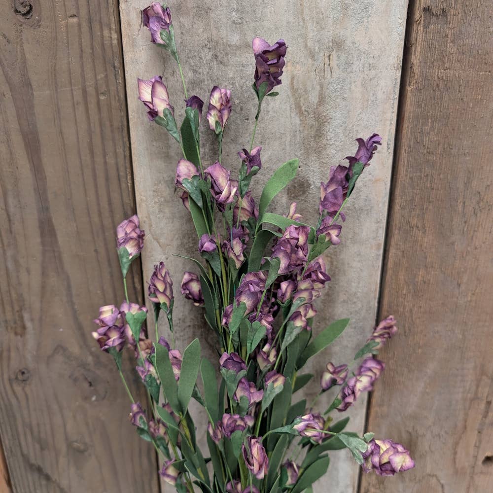 Steeple Weed Bushes: Purple
