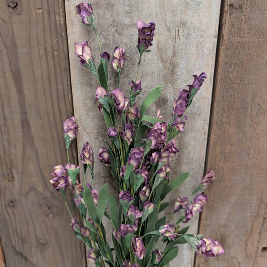 Steeple Weed Bushes: Purple