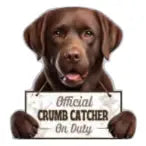 Labrador Chocolate Chip Clip